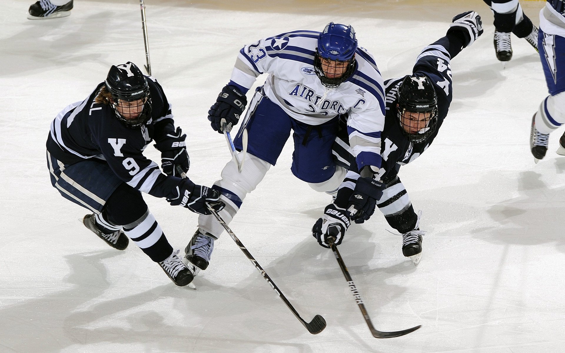 UFC 300震撼落幕,新王加冕,传奇对决刷新收视纪录